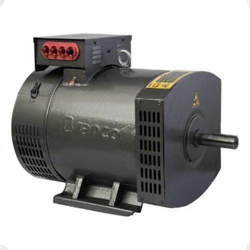 Alternador Gerador De Energia 11.0kva 220/380v Trif - Branco